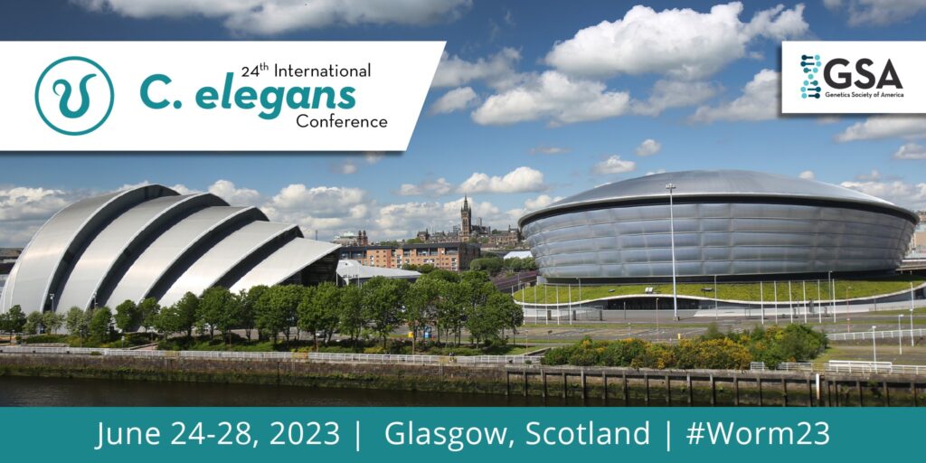 해외 플래그십으로 우리 행사 판 키워볼까?